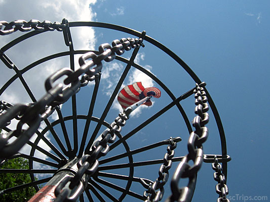 Above the Rim #1