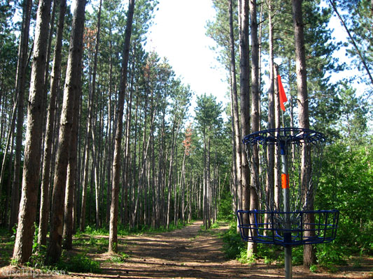 Blending with Trees #9