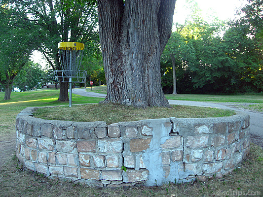 Elevated Pins #4