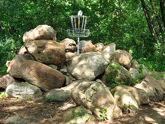 Elevated Pins #1