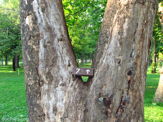 Houses on the Green #8