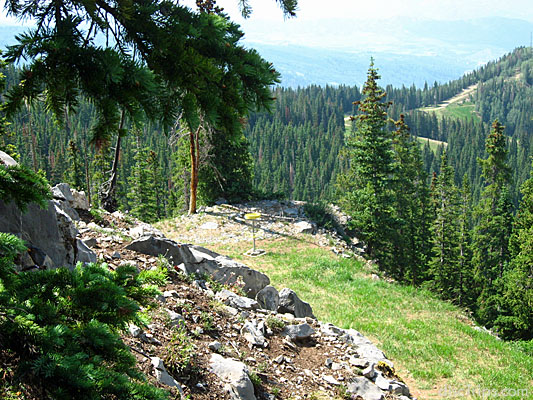 Tiny Pin, Big Nature #9